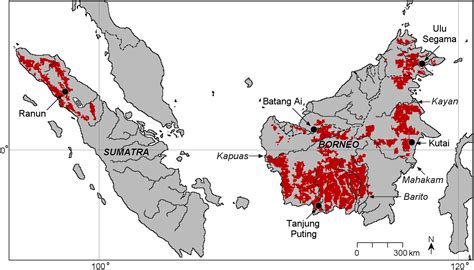 Sumatran Orangutan Map