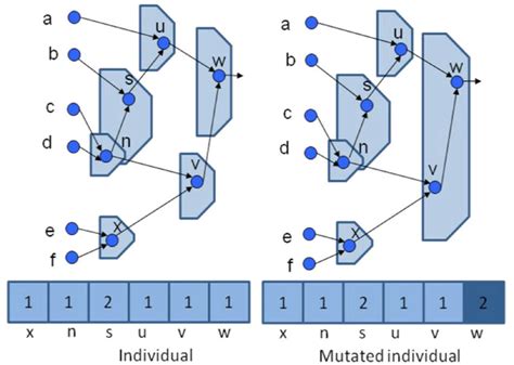 Mutation in a gene of the individual and its effect in the mapping ...