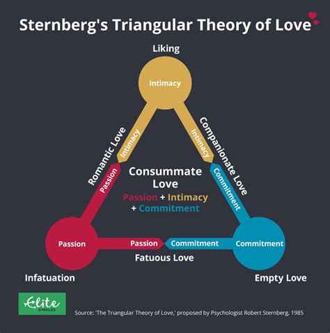 Explaining Sternberg‘s Triangular Theory of Love | EliteSingles