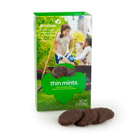 Girl Scout Thin Mints, Chocolate Covered Biscuit Snack Cookies (32 Per Box) - Walmart.com