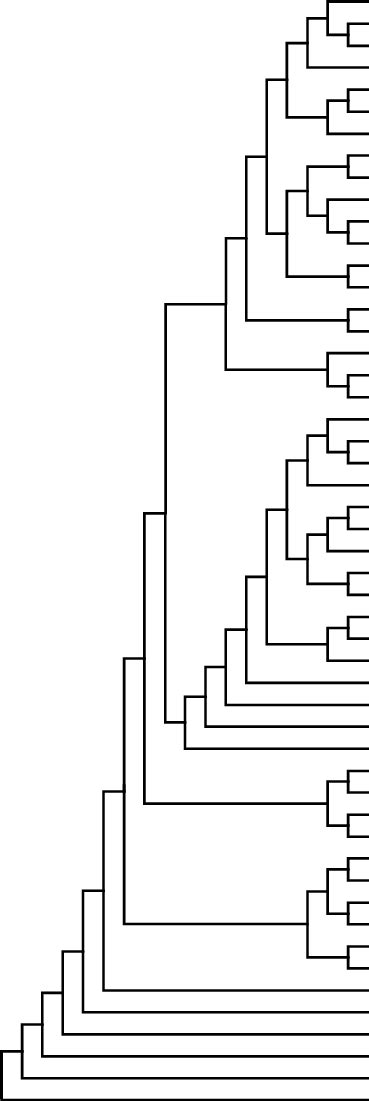 Phylogenetic interrelationships of the Loricariidae based on sequence ...