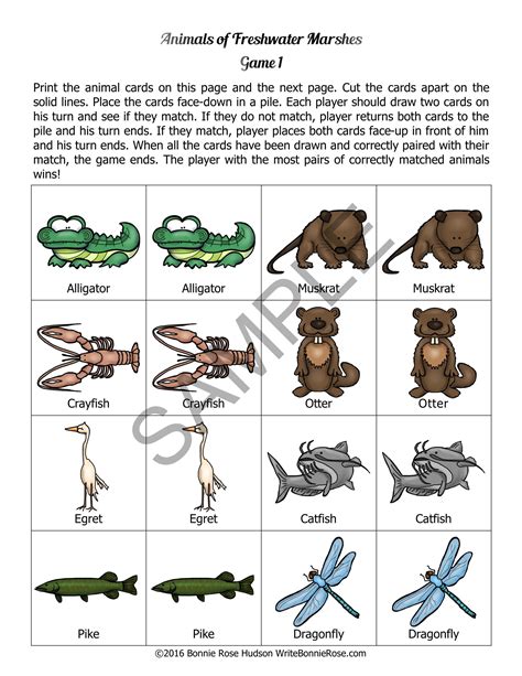 Animals of Freshwater Marshes: Animal Facts Matching Game | Made By Teachers