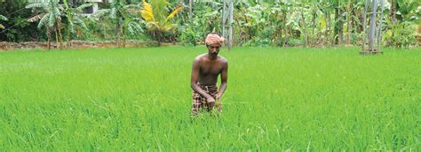 Karshika Keralam – Department of Agriculture Development and Farmers' Welfare