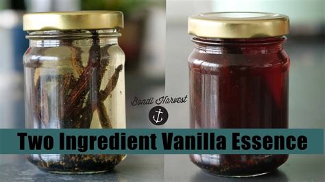 Vanilla Essence Recipe | Two Ingredient - YouTube