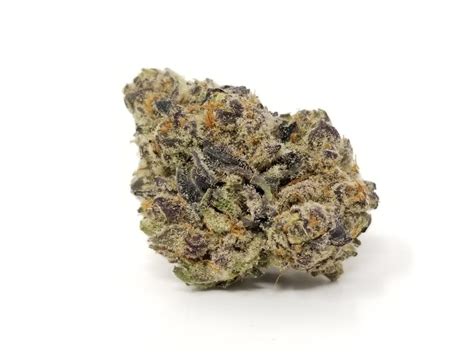 Mimosa - Strain Information - Cannaconnection.com - Strain Information