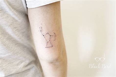 Orion constellation tattoo on the right triceps.