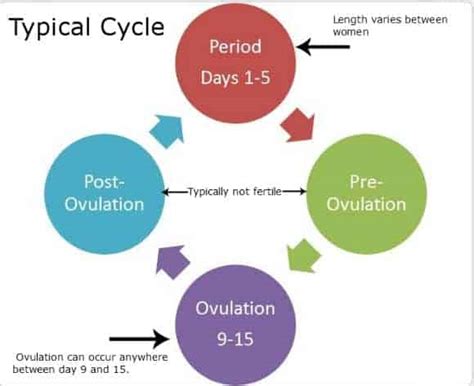 Tracking your Fertility Cycle