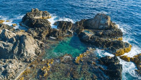 The breathtaking secret natural pool of Aruba you must visit | LaptrinhX / News