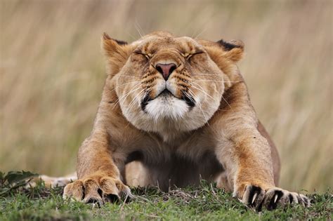 Early contenders for the year's best wildlife photo are absolutely breathtaking | Salon.com