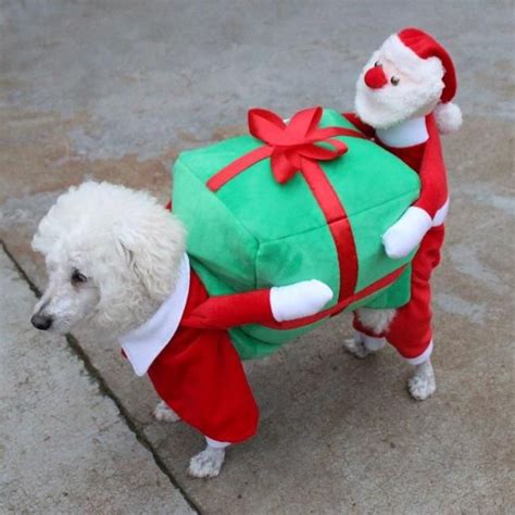 Santa Claus Dog Carrying Present Costume, Pet Clothes, Furbabeez, [tag] | Christmas dog costume ...