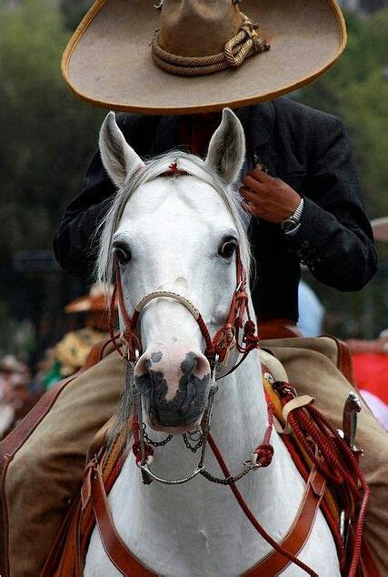 Charro | Horses, Mexican culture, Mexican art