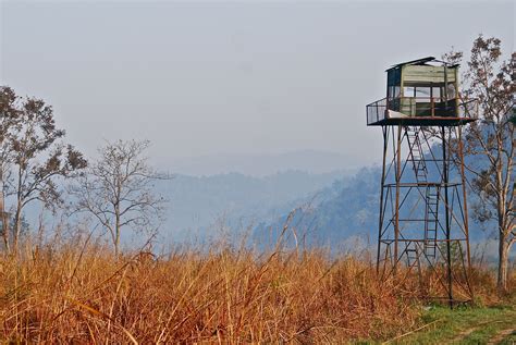 Photo Gallery: 8 Scenic Pictures of Corbett National Park