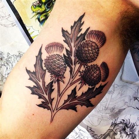 Best 25+ Scottish thistle tattoo ideas on Pinterest | Thistle tattoo, Scottish thistle and ...