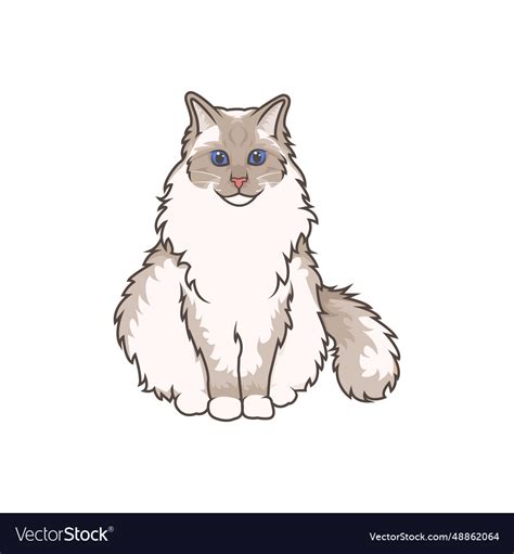 Ragdoll red 2 Royalty Free Vector Image - VectorStock