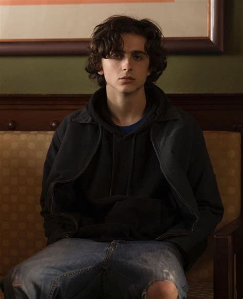 Timothée Chalamet | Beautiful Boy in 2020 | Timothee chalamet ...