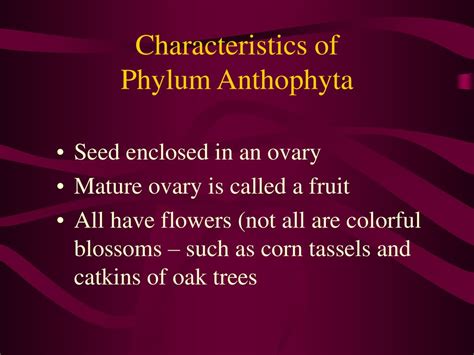 The Flowering Plants Often called Angiosperms - ppt download