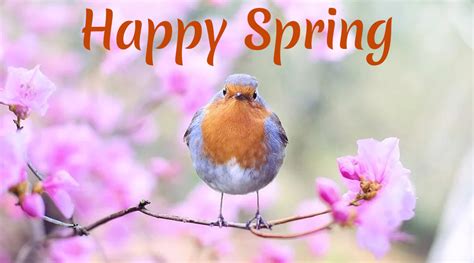 Happy Spring 2020 Wishes & Images! Twitterati Shares Beautiful Pics, Greetings, and Messages on ...