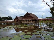 Amazon River - Wikipedia
