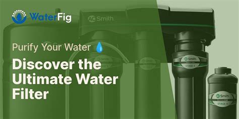 What is the best water filtering system?