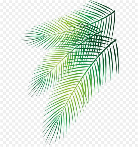 Palm Frond Vector at GetDrawings | Free download