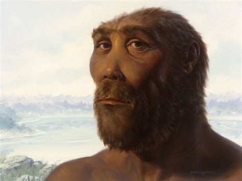 Skull of New Hominid Discovered | Hominid, Hominid species, Leakey