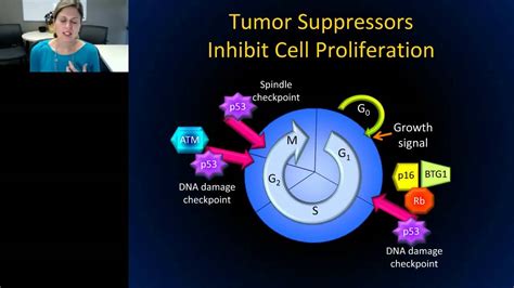 Kristin Landis-Piwowar - Molecular Diagnostics in Detection, Diagnosis, and Prognosis of Cancer ...