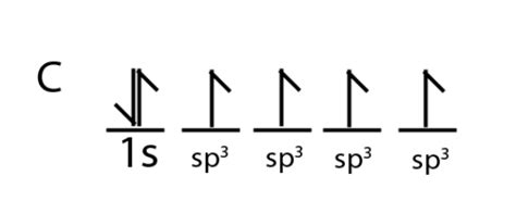 [Solved] Using orbital diagrams, show how sp3 hybrid orbitals are ...