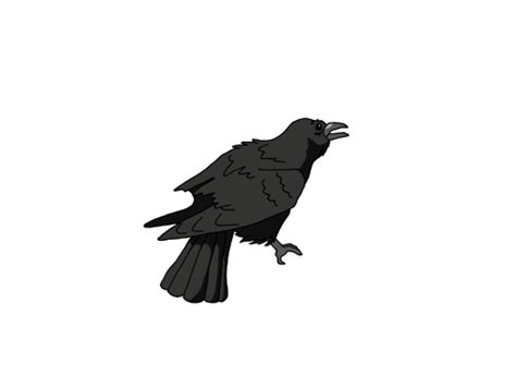 Crow GIFs - Find & Share on GIPHY