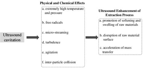 Mechanism about ultrasound-assisted extraction process. | Download Scientific Diagram