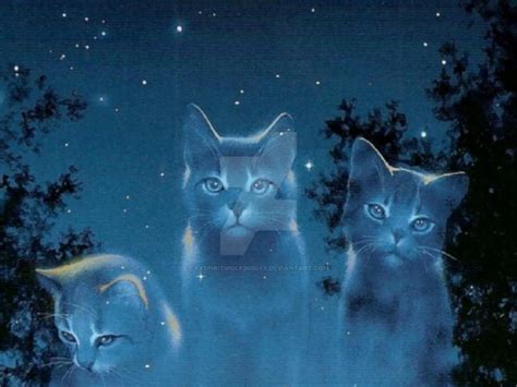 Starclan Cats by XXspiritwolf2000XX on DeviantArt