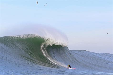 Mavericks Big Wave surfing ***video*** | Hit And Run