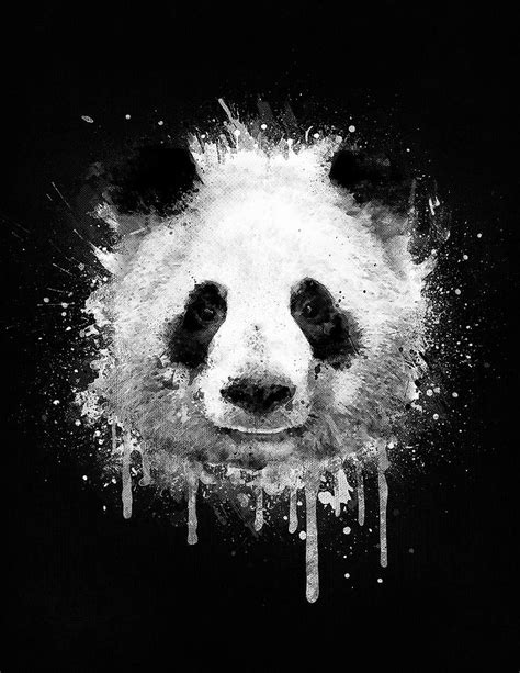 Cool Abstract Graffiti Watercolor Panda Portrait In Black And White ...