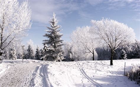 Fondos de Pantalla Estaciones del año Invierno Nieve Naturaleza descargar imagenes