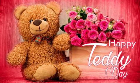 Happy Teddy Day wishes, quotes for your Girlfriend, Boyfriend, Husband ...