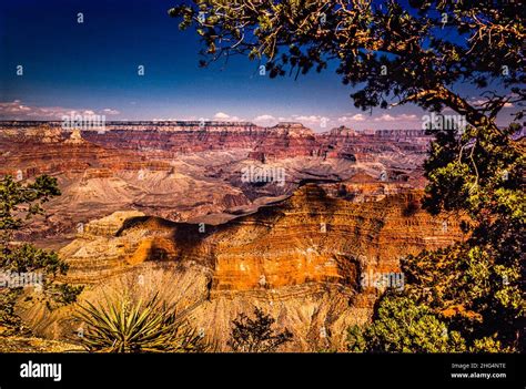 Grand Canyon National Park Tusayan, Arizona, USA Stock Photo - Alamy