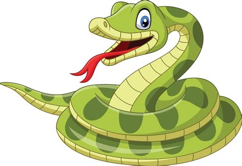 serpiente verde de dibujos animados sobre fondo blanco 7270752 Vector ...