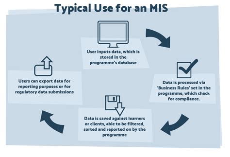 'What is a Management Information System?' - CogniSoft