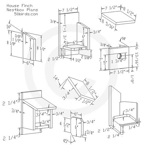 Create The Perfect Purple Finch Bird House Plans For 2023 - BIRD LOVER