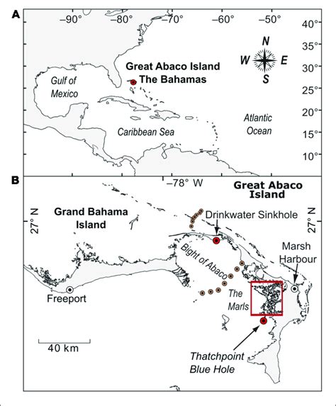 | (A) Map of The Bahamas with the location of Great Abaco Island in the ...