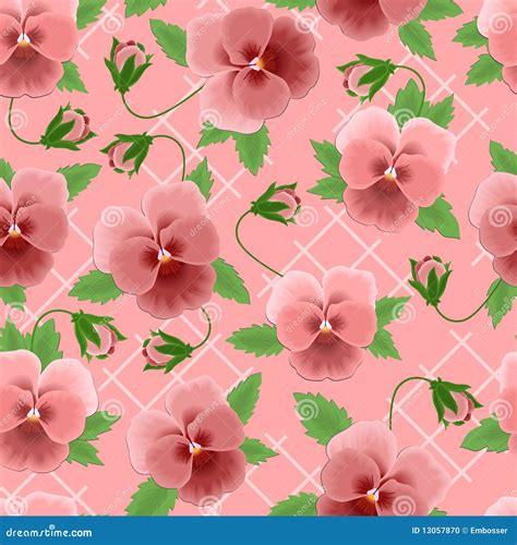 Pink pansies background stock vector. Illustration of background - 13057870