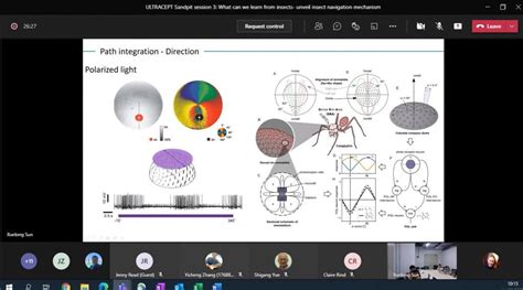 What we can learn from insects: Unveiling insect navigation mechanism ...