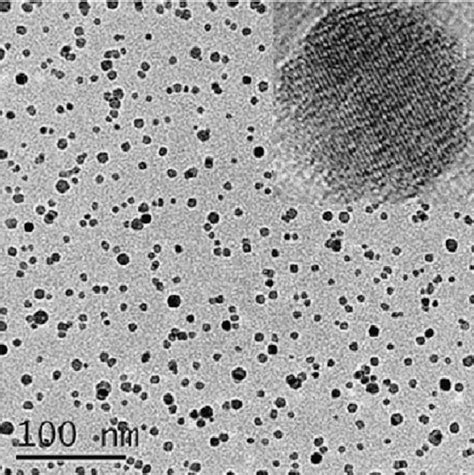 TEM image of the magnetite nanoparticles in an aqueous suspension ...