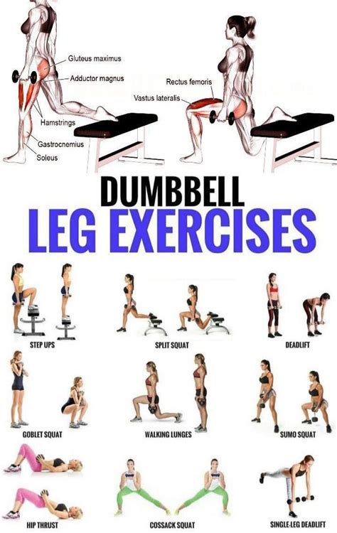 Best dumbbell leg exercises you can do at home | Lower body workout, Dumbbell leg workout, Leg ...