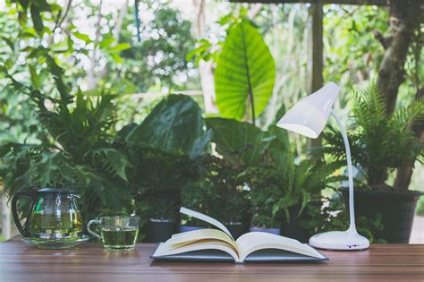 Office desk with nature background 1903308 Stock Photo at Vecteezy