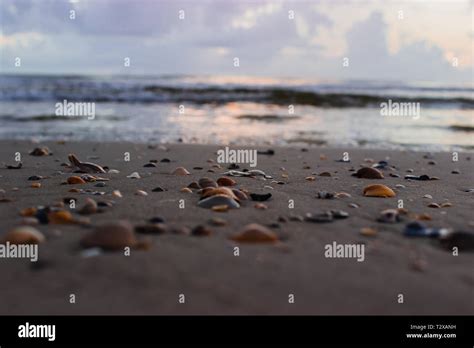 Amelia Island Beach Stock Photo - Alamy