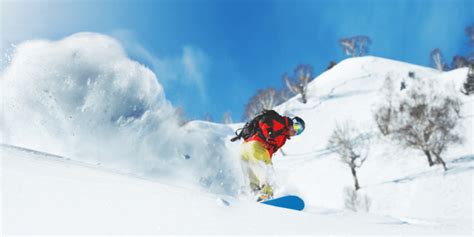 4 Types of Snowboard Shapes Explained (Plus FAQs)