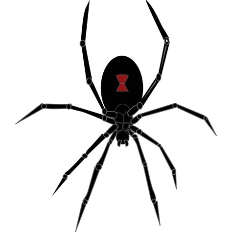 Transparent Black Widow Logo - Clip Art Library