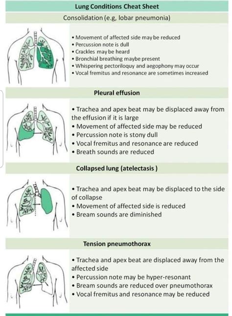 Lung Consolidation Vs Pleural Effusion