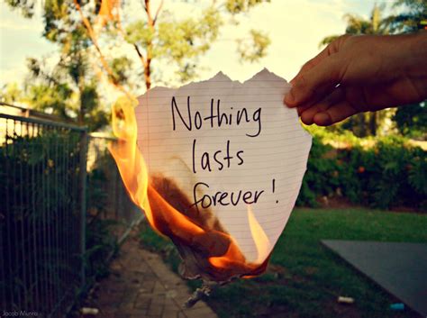 nothing lasts forever. by Shutter-Shooter on DeviantArt