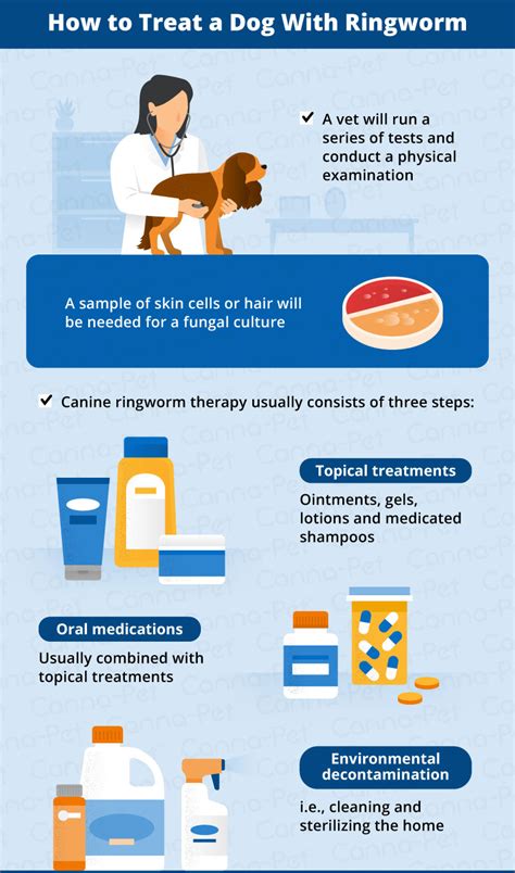 Ringworm in Dogs: Causes, Signs, & Treatment | Canna-Pet®